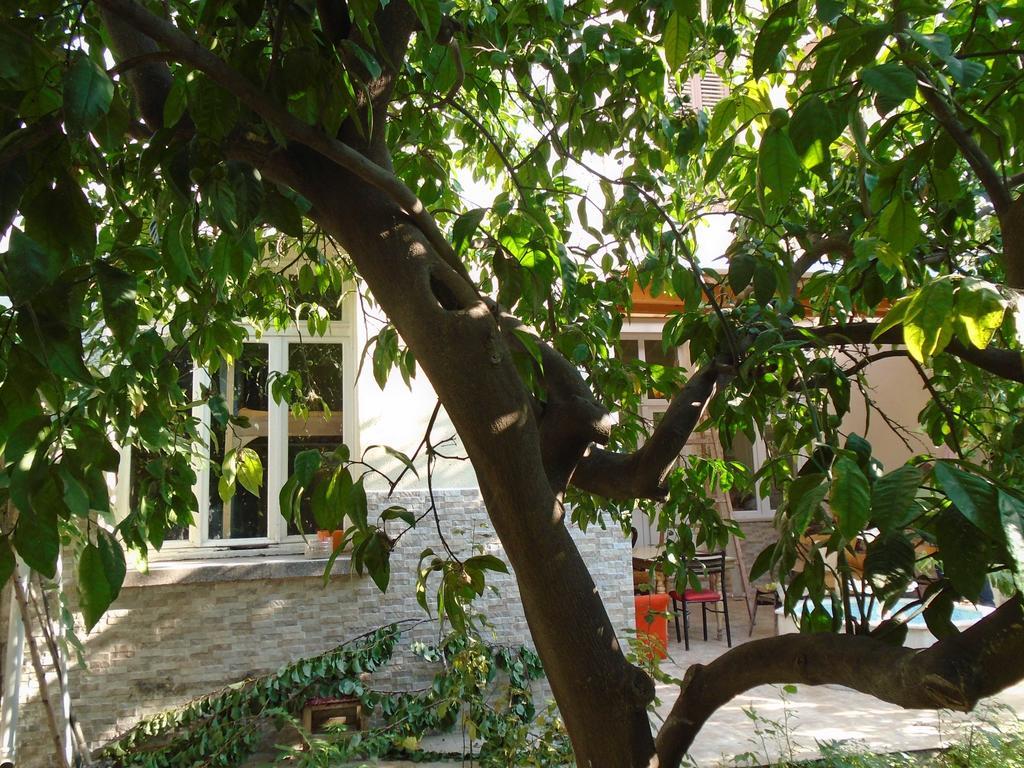 Lotus Garden Hostel *