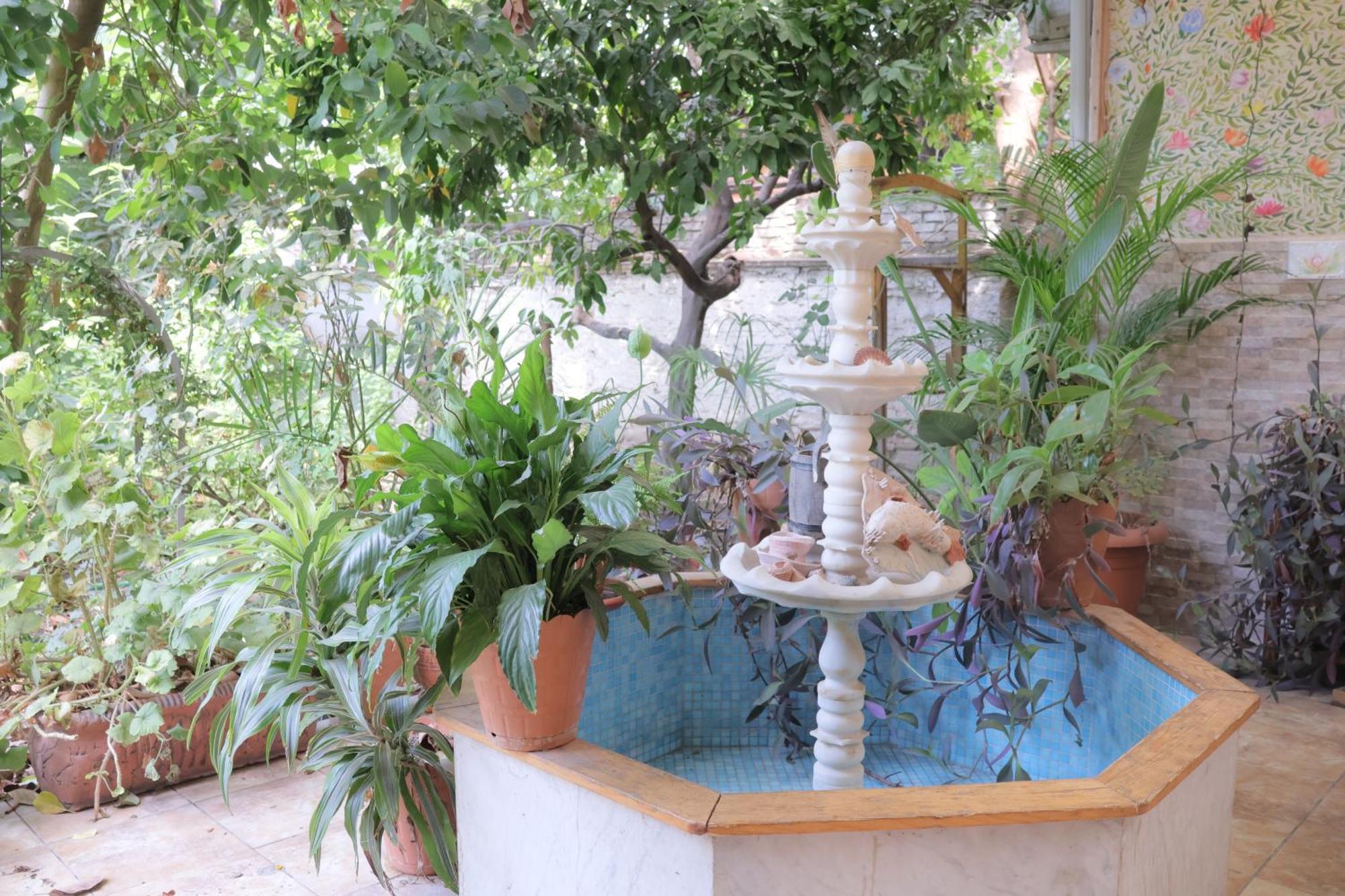 Hostel Lotus Garden