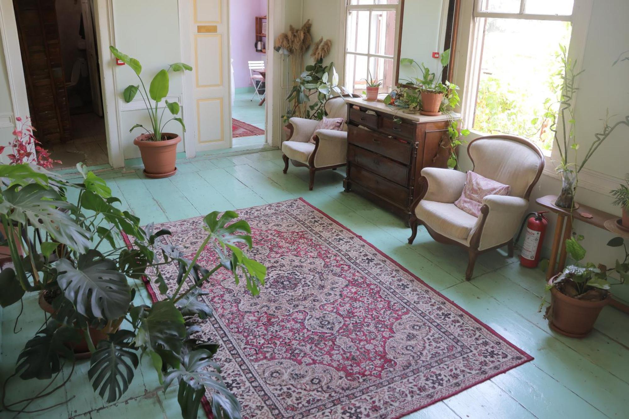 Hostel Lotus Garden *